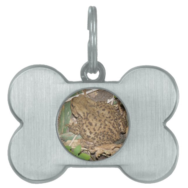 European Common Toad Pet Tag (Front)
