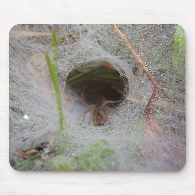 European Funnel Web Spider Mouse Mat (Front)