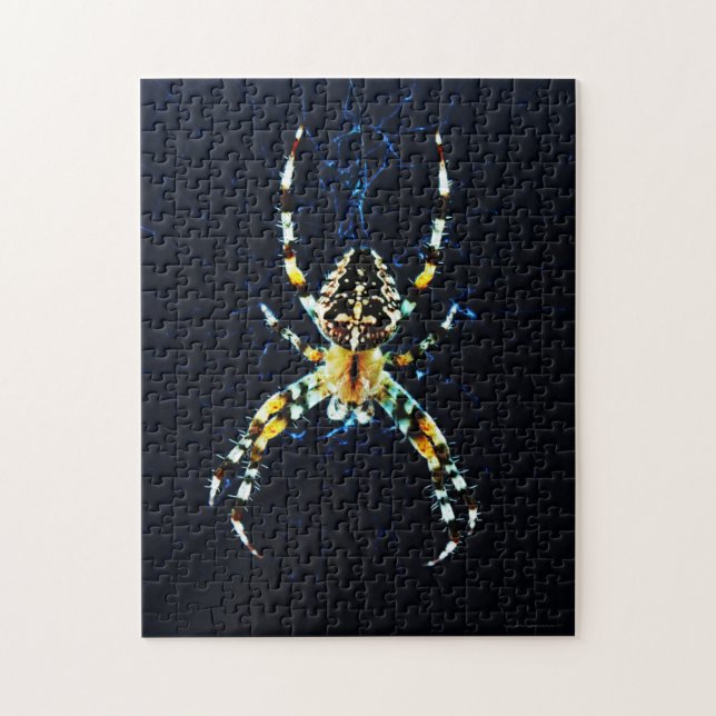 European Garden Spider 11x14 252pc jpcnm Jigsaw Puzzle (Vertical)