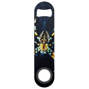 European Garden Spider boa Bar Key