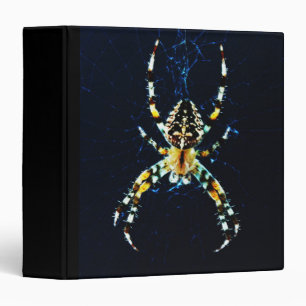 European Garden Spider rbcna Binder