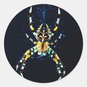 European Garden Spider stkcna Classic Round Sticker