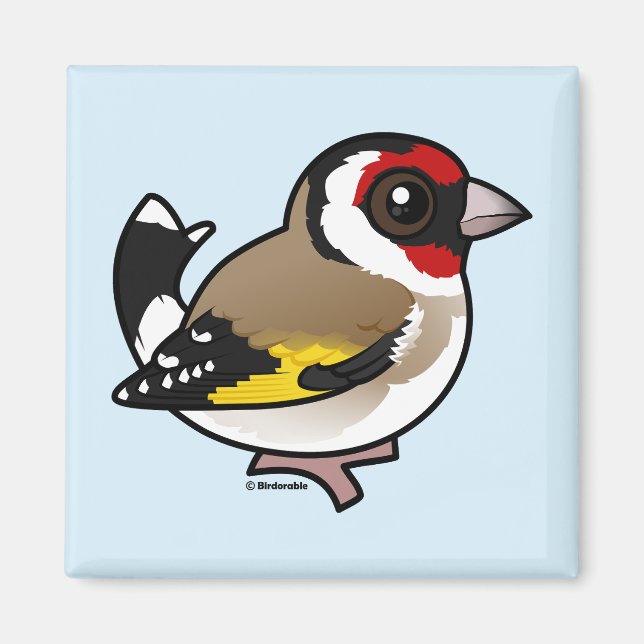 European Goldfinch Magnet (Front)