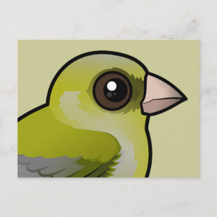 European Greenfinch Postcard