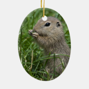 European ground squirrel ceramic ornament