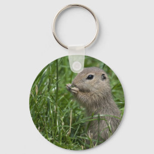 European ground squirrel keychain