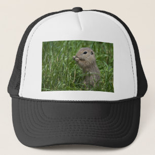 European ground squirrel trucker hat