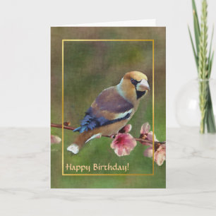 European hawfinch digital painting card
