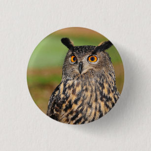 European Owl Bird 1 Inch Round Button