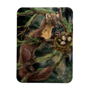 European Pine Marten Magnet