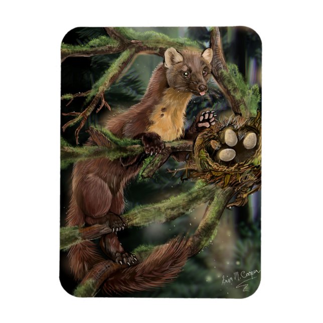European Pine Marten Magnet (Vertical)