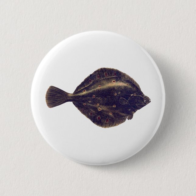 European Plaice 2 Inch Round Button (Front)