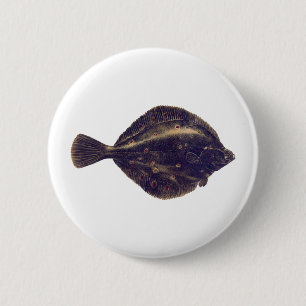 European Plaice 2 Inch Round Button