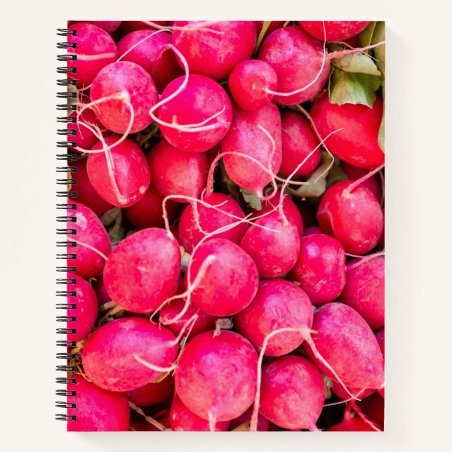European radish notebook (Front)