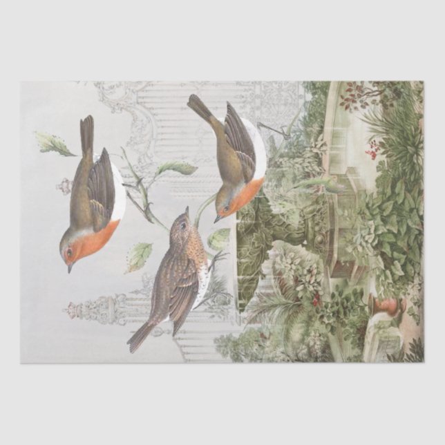 European Robin Bird Garden Vintage Decoupage  Tissue Paper (Front)