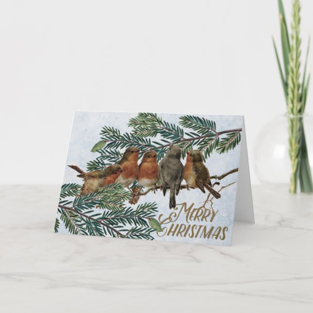 European Robin Birds Christmas Holiday Evergreen (Front)