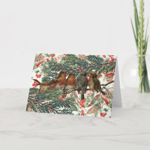 European Robin Birds Christmas Holiday Red Ribbon  Card