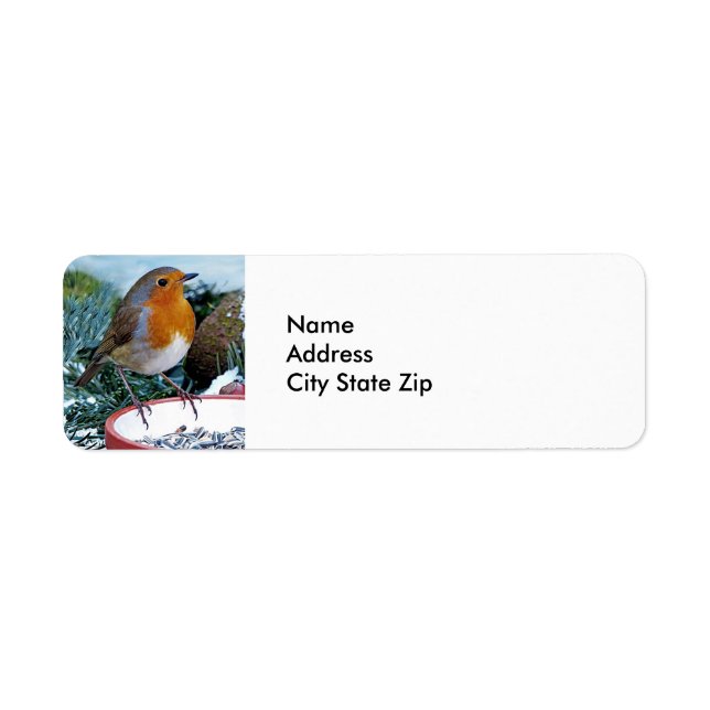 European Robin Feeder Photo (Front)