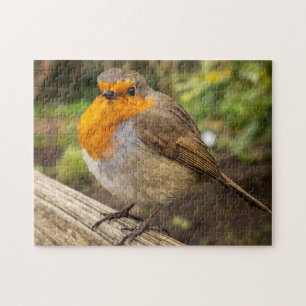 European Robin Jigsaw Puzzle