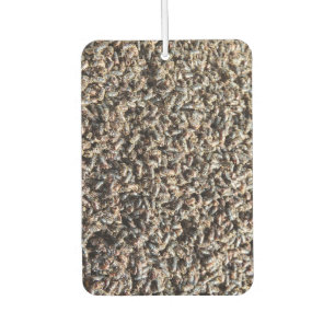 European spruce bark beetle air freshener
