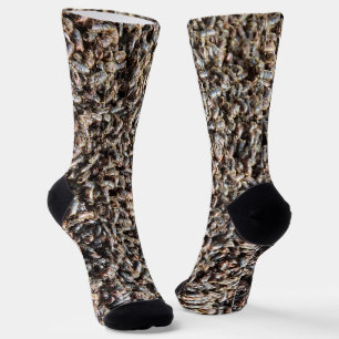 European spruce bark beetle socks
