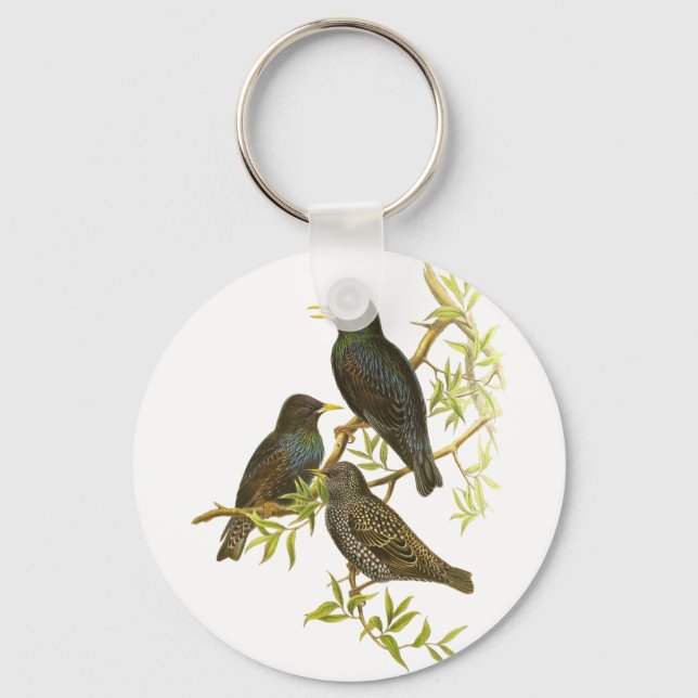 European Starling Keychain (Front)