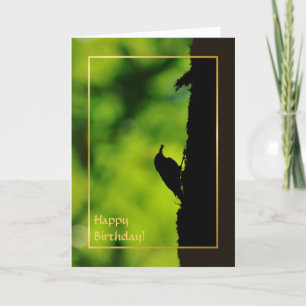 European treecreeper card