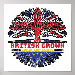 European Union EU Europe Uk United Kingdom British Poster
