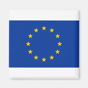 European Union Flag Magnet
