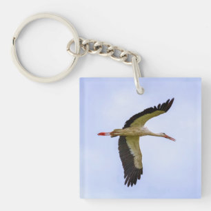 European white stork keychain