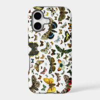 Europe's Best-Known Butterflies and Moths Collage