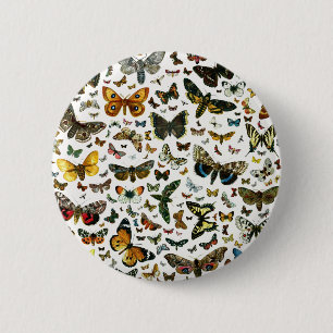 Europe's Best-Known Butterflies and Moths Collage 2 Inch Round Button