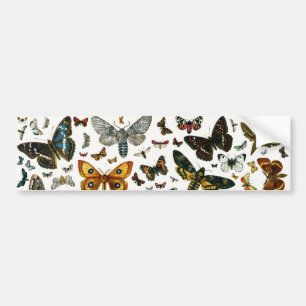 Europe's Best-Known Butterflies and Moths Collage Bumper Sticker