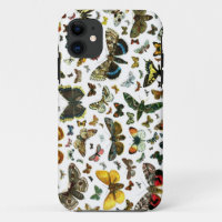 Europe's Best-Known Butterflies and Moths Collage