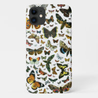 Europe's Best-Known Butterflies and Moths Collage