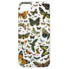 Europe's Best-Known Butterflies and Moths Collage