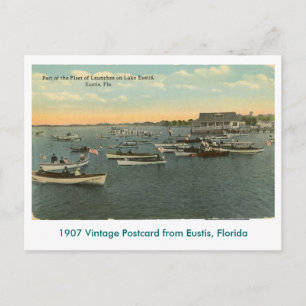 Eustis, FL - Fleet of Boats - 1907 Postcard