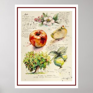 EVE Painted Illustration of Apple Poster