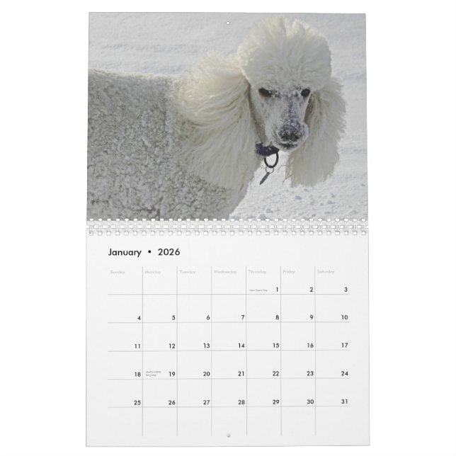 Even dogs take time to smell the flowers. calendar (Jan 2026)