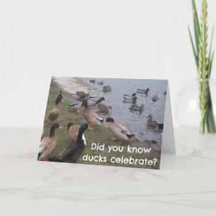 EVEN "DUCKS" CELEBRATE YOUR BIRTHDAY CARD