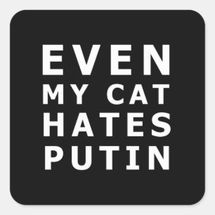Even my cat hates putin square sticker