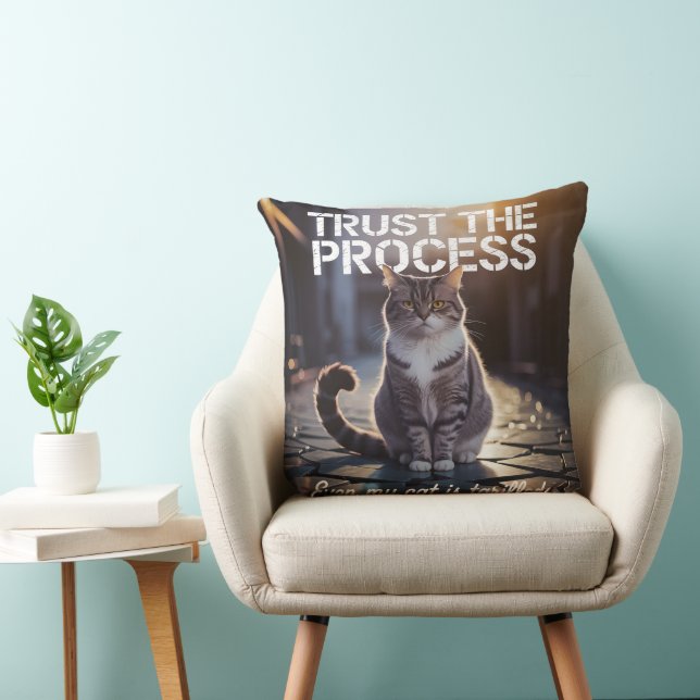 Even My Cat Is Tariffed - Trust The Process Throw Pillow (Chair)