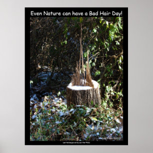 "Even Nature Can Have A Bad Hair Day!" Print