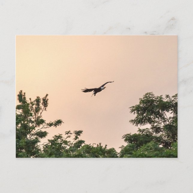 Evening Arrival Postcard (Front)