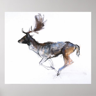 Evening Buck Poster