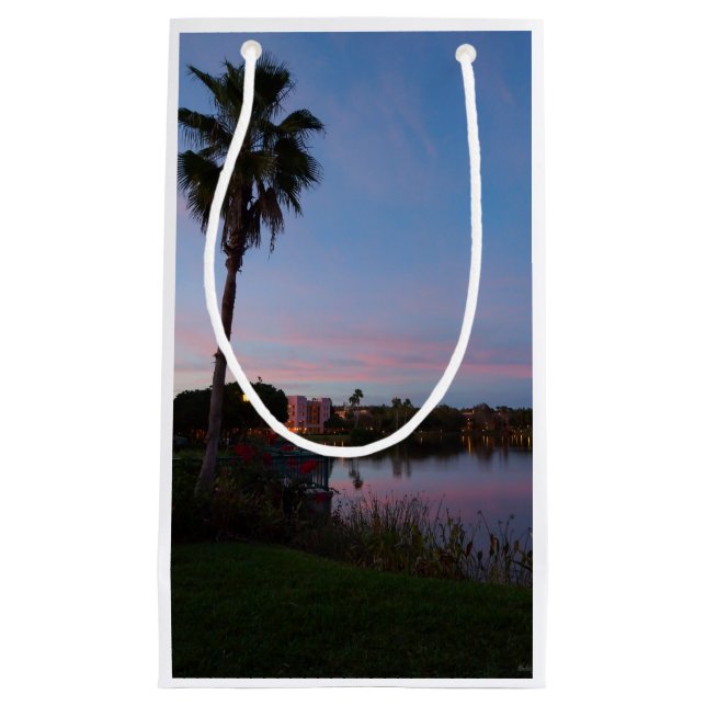 Evening By The Palm Tree Small Gift Bag (Front)
