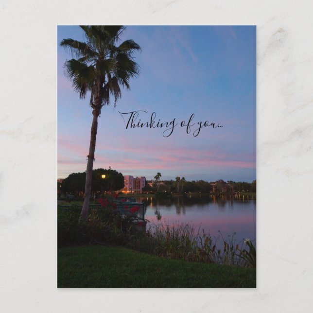 Evening By The Palm Tree Thinking Of You Postcard (Front)