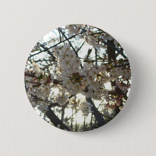 Evening Cherry Blossoms II Spring Sunset 2 Inch Round Button (Front)
