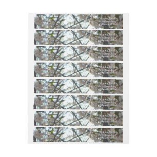 Evening Cherry Blossoms II Spring Sunset Wrap Around Label