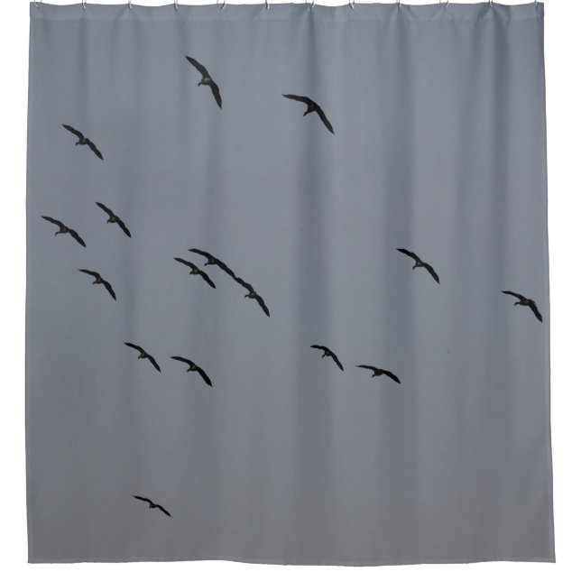 Evening Flight (Front)